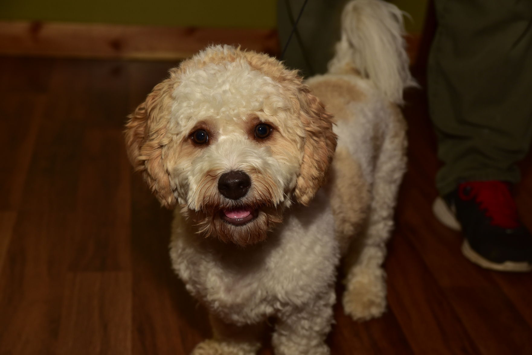 DSC_3496.JPG